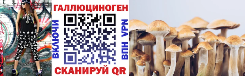 наркота Сим Галлюциногенные грибы MAGIC MUSHROOMS